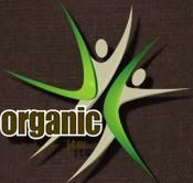 Organic Church